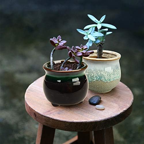 2.1 Inch Ceramic Small Succulent Pot,Plant Pots,Mini Flower Pots | Ceramic Succulent Pots with Drainage,Small Planter for Mini Plant Flowing Glaze Base Serial Set with Holes for Indoor,Outdoor