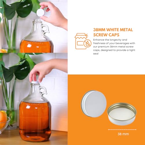 Home Brew Ohio 1 Gallon Glass Water Bottle Includes 38 mm Metal Screw Cap
