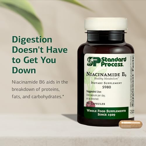 Standard Process Niacinamide B6 - Supports Energy Metabolism & Nervous System Health - Aids Blood Flow & Digestive Health with Niacin & Vitamin B6