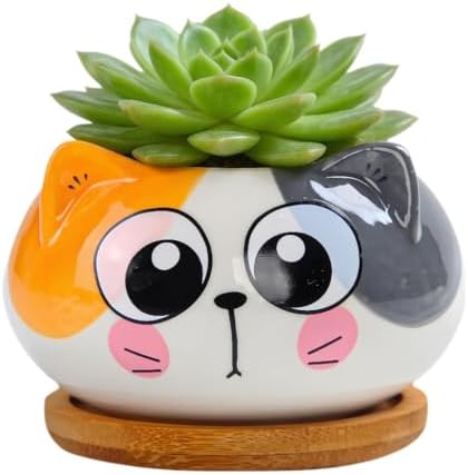 Cuteforyou Succulent Pots,Cute Animal Shaped Cartoon Ceramic Succulent Cactus Flower Planters -Plant Not Included，Cat