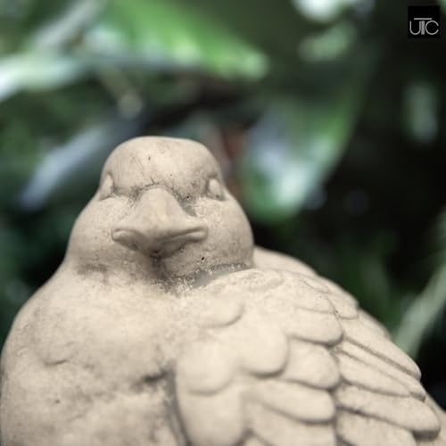 Small Cement Bird Statue, Gray Concrete Finish (8.25 X 5.25 X 6.25 In.) | Decorative Cement Bird Figurine With A Gray Concrete Finish, Ideal For Tables, Patios, Lawns, Yards, And Home Décor.