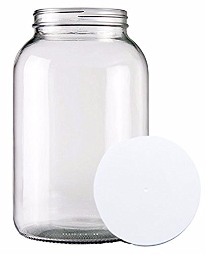 Home Brew Ohio One Gallon Wide Mouth Glass Jar and Lid for Vinegar Making
