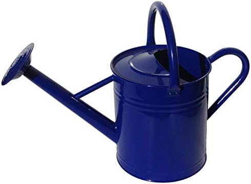 Gardener's Select AW3005PPR Watering Can, Red, 7 L