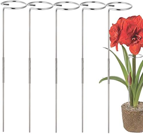 30 Inch Or 16 InchPlant Stakes for Flowers - 5 Pack, Adjustable Height