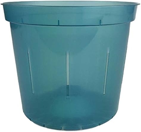 Orchid Pot - 6 inch Slotted Clear Orchid Pots - 3 Pack (Crystal Clear)