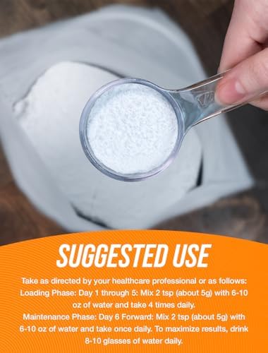 BulkSupplements.com Creatine Monohydrate Powder - Micronized Creatine Powder, Unflavored - Pure & Gluten Free, 5g per Serving