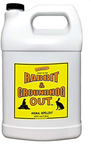 Rabbit & Groundhog Repellent: Rabbit Out 1 Gallon Ready-to-Use- (Refill) | * Sprayer NOT Included *, Rabbit Repellent