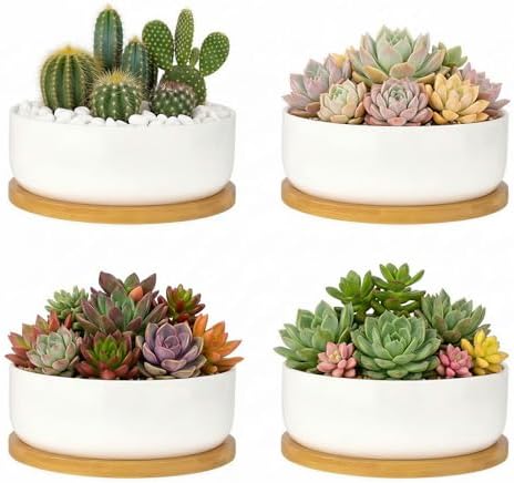 ZOUTOG 2 Pack 6" Ceramic Succulent Pots, White Planters with Drainage Tray