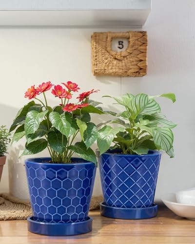 EFISPSS Ceramic Plant Pots, 5 Inch Planters with Drainage Holes and Ceramic Tray, Relief Design Flower Planter