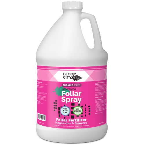 Bloom City Supergreen Organic Kelp Foliar Spray – Liquid Plant Supplement for Faster Nutrient Uptake, Greener Leaves & Vigorous Growth, 32 oz