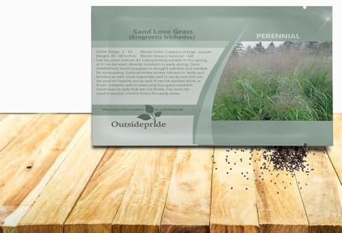 Outsidepride 500 Seeds Perennial Eragrostis Spectabilis Ornamental Love Grass Seed for Planting