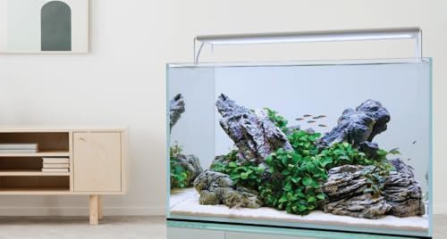 CURRENT USA 18-24" Inch White Full Spectrum Freshwater LED Aquarium Plant Light 10 15 20 25 Gallon | Satellite Plus RGB+ for Aquariums | Wireless 24