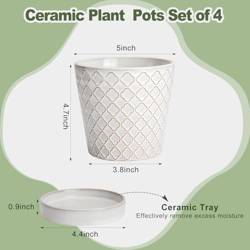 EFISPSS Ceramic Plant Pots, 5 Inch Planters with Drainage Holes and Ceramic Tray, Relief Design Flower Planter