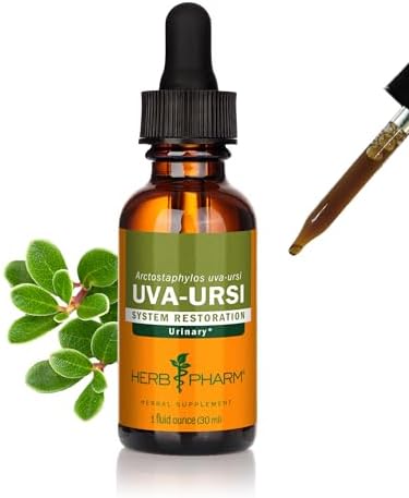 Herb Pharm Uva Ursi Liquid ExtraCount for Urinary System Support, 1 Oz