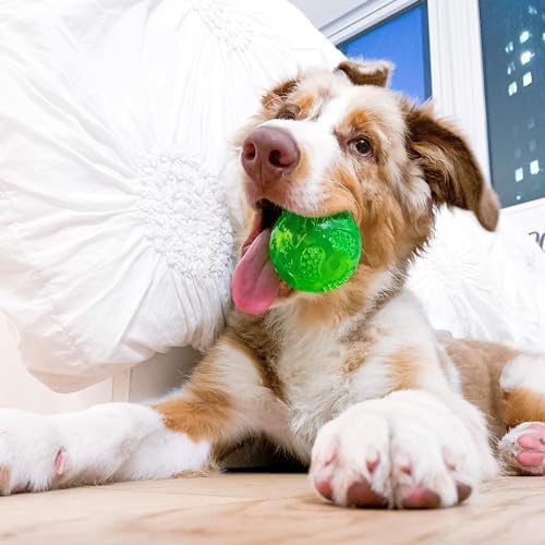 Hyper Pet DuraSqueak Dog Ball Toy, Interactive Dog Toys that Float and Squeaks for Playing, Fetching and Retrieving-Great Alternative to Traditional Tennis Balls Green 2.5 Inch | Bold sound effects reward play, a fresh alternative to traditional tennis o…