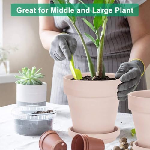 vensovo 8 Inch Clay Pot for Plant with Saucer - 2 Pack Large Terra Cotta Plant Pot with Drainage Hole, Clay Planters Pot