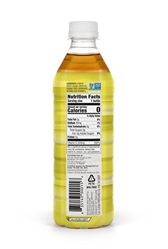 Teas' Tea Unsweetened Jasmine Green Tea 16.9 Ounce (Pack of 12) Organic, Sugar Free, 0 Calories