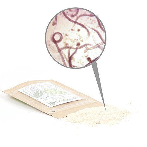 Scanmask Beneficial Nematodes, Steinernema feltiae Sf Nematodes for Natural Insect Pest Control (10 Million)