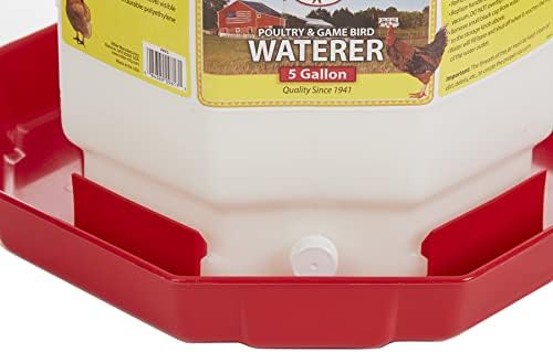 Little Giant® Plastic Poultry Waterer | Heavy Duty Plastic Gravity Fed Water Container | Easy to Fill | Snap on Jar | 7 Gallons