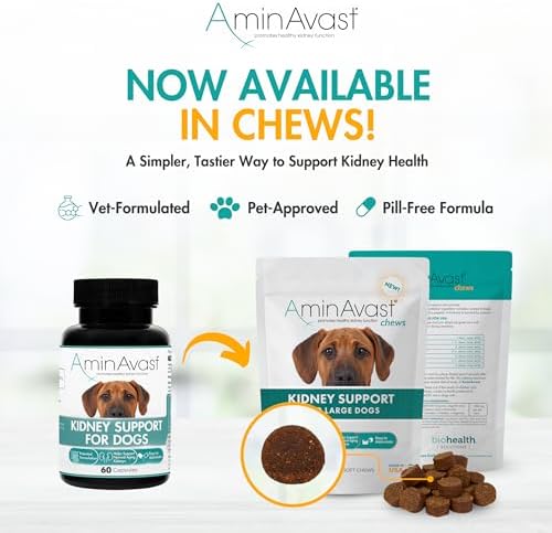 AminAvast Kidney Support for Dogs Over 20lb, 1000mg, 60 Sprinkle Capsules | Feed Directly or Open Capsules & Mix With Food, Flavorless, Easy Daily Use