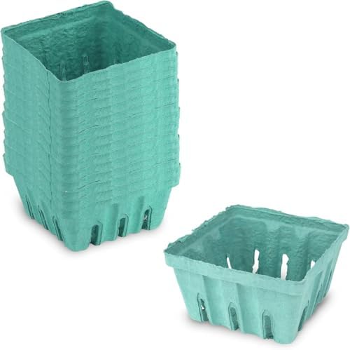 MT Products Green Berry Basket 1 Quart - Molded Pulp Fiber Vented Produce Basket (Pack of 15) - Made in the USA