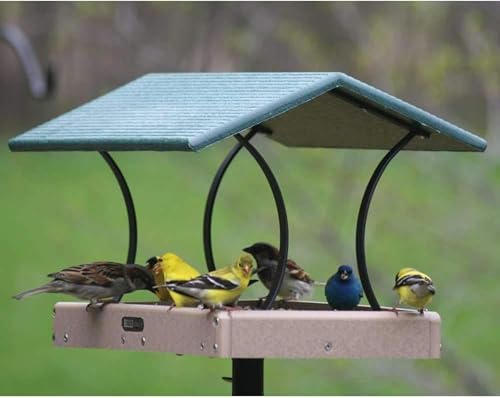 Birds Choice SNFT-300 Fly-Thru Feeder, Recycled Pole Mounted Bird Feeder, Large, Taupe/Green | Recycled Plastic Platform with Roof, Welcomes Cardinals, Jays and Other Wild Birds, 19in x 15.75in x 13in