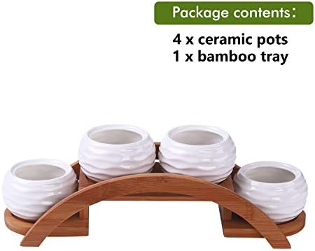 E-liu Eliu Cute Small Ceramic Succulent Pots and Stand Set, Pack of 4 | White Succulent Planter Pot with Drainage Fits Well In Windowsills