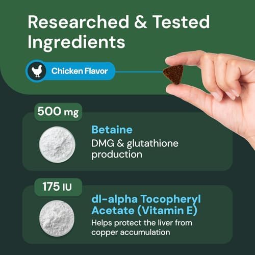 VetriScience Veterinary Strength Liver Health Chews - Canine Liver Care Supplement for Detox Support - Dog Supplement - Supports Immune System - No