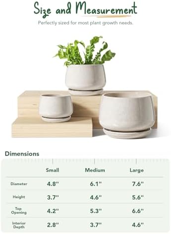 LE TAUCI Plant Pots, 4.1+5.1+6.5 inch, Set of 3, Ceramic Planters with Drainage Hole and Saucer, Indoor Flower Pot with Hole Mesh Pad, Gifts for Mom