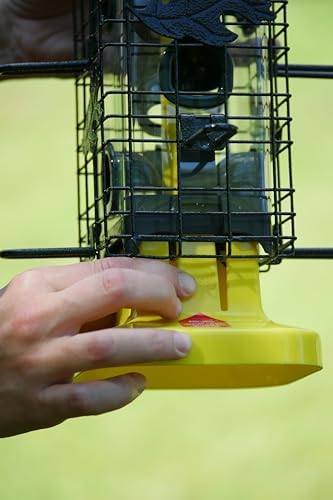 Squirrel Solution200 Squirrel-proof Bird Feeder w/6 Feeding Ports, 3.4-pound Seed Capacity, Free Seed Funnel | Six ports