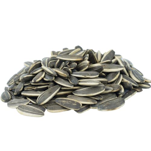 Lightly Sea Salted Sunflower Seed in Shell by Gerbs - 2 LBS - Top 11 Food Allergen Free & Non GMO - Premium Dry Roasted Seeds – COG USA | Small Batch, No Artificial Additives, Resealable Bag | Crack-and-Eat Crunchy Snack | Top 14 Allergen-Free