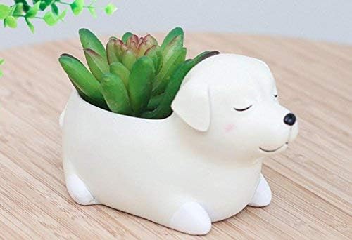 Labrador Dog Planters, Animal Shaped Cartoon Succulent Planter Pots for Office, Window, Kitchen and Balcony, Resin