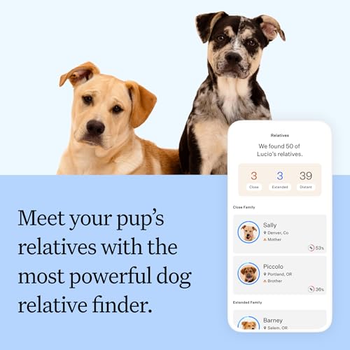 Wisdom Panel Breed Discovery Dog DNA Testing Kit - Most Accurate Dog Breed Identification - Test for 430+ Breeds, MDR1 Health Test, Ancestry