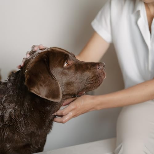 LILA LOVES IT Shampoo Sensitive for Dogs - Dog Shampoo with Aloe Vera, Almond Oil, Calendula and Camomile, moisturizing, Soothing and Gentle, 250 ml