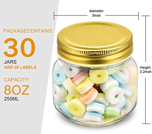 Rainforce Mason Jars 8 oz 30 Pack Small Glass Caning Jars with Silver Lids