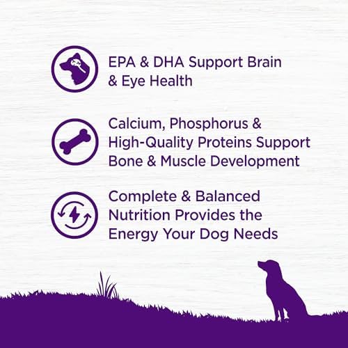 Wellness Complete Health Puppy Dry Dog Food, Grain Free Kibble, Natural, Chicken and Salmon Recipe, 24 lb Bag