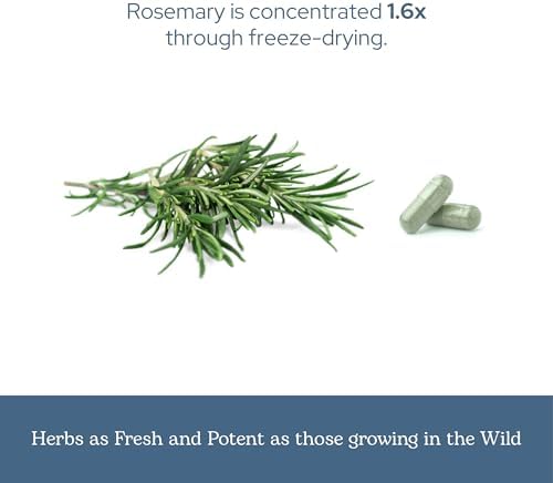 Eclectic Herb - Rosemary Capsules | Cognitive Support, Memory & Brain Health | Mood Support | Herbal Supplement | Vegan, Non-GMO, Gluten Free
