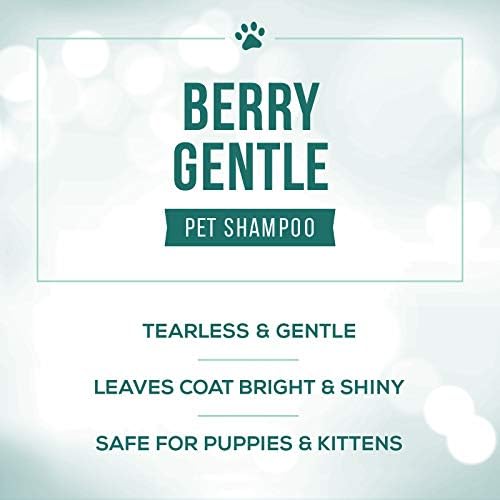 Nature's Specialties Berry Gentle Ultra Concentrated Face and Body Wash for Pets, Makes up to 16 Gallons, Natural Choice for Professional Groomers, Gently Cleanse The Skin and Coat, Made in USA, 1 gal
