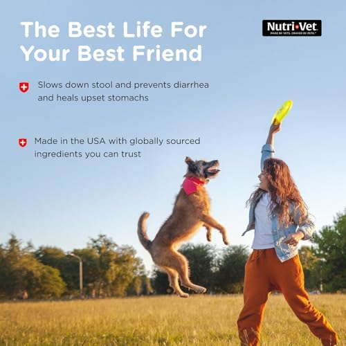Nutri-Vet Anti Diarrhea for Dogs, Dog Upset Stomach Support, Kaolin, 4oz | Fast Acting Formula, Upset Stomach, Helps Firm Stool, Digestive Health