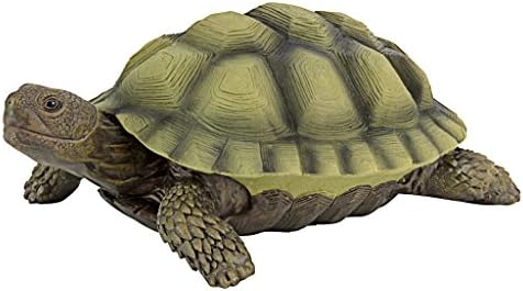 Design Toscano QM1887611 Gilbert the Box Turtle Garden Decor Animal Statue, 9 Inch, Full Color