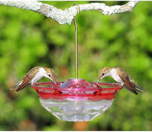 Aspects Mini HummBlossom Hummingbird Feeder, 4 oz, Rose, red, 5"" x 5.5"" x 2.4""" (433)