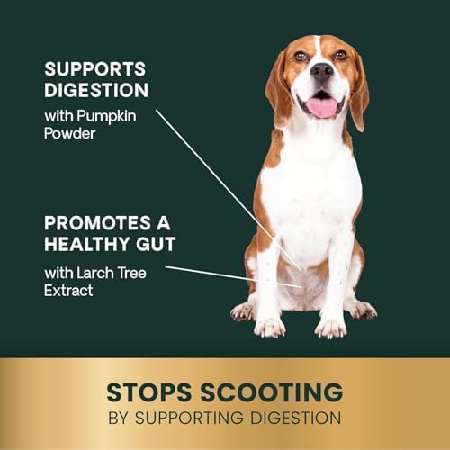 VetriScience Scoot Control Chews, Express Ease Fiber Supplement for Dogs, Pumpkin and Tree Larch Extract, Anal Gland Support, Firm Up Stools
