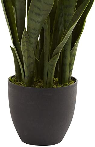 Nearly Natural 35in. Sansevieria with Black Planter and 4ft. Corn Stalk Dracaena Silk Plant (Real Touch), Green