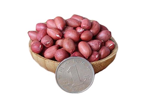 Helen Ou @ Shaanxi Specialty: Raw Red Shelled Peanut Kernel 500g/17.64oz/1.1lb 红皮花生米