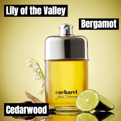 Cacharel Pour L'Homme Eau de Toilette Cologne for Men, Woody, Spicy and Floral Fragrance, Notes of Bergamot, Lily of the Valley Accord and Cedar Wood