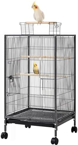 36-Inch Deluxe Sturdy Wrought Iron Bird Flight Open Play Top Cage with Rolling Stand for Parrots Conure Lovebird Cockatiel