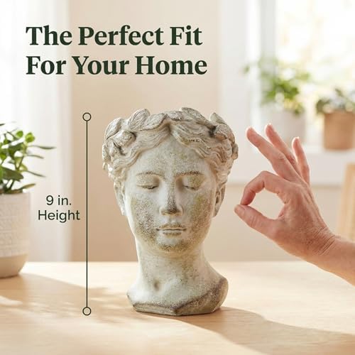 Greek/Roman Style Female Statue Head Cement Planter (Style 1)