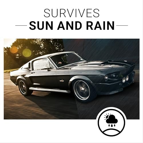 CarGuys Plastic Restorer | Bring Plastic, Rubber