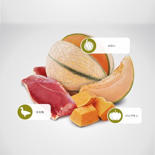 Farmina N&D, Pumpkin Duck Pumpkin and Cantaloupe Melon Recipe Adult Dry Cat Food, 3.3lb