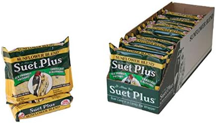 Suet Plus Zesty Orange Suet 12 Pack